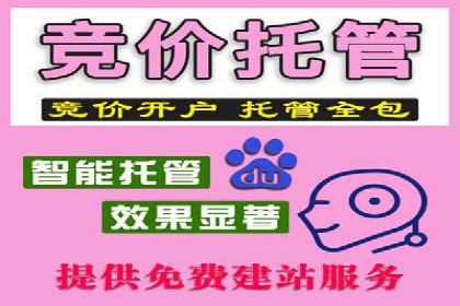 案例研究：SEM代运营服务公司的创新策略
